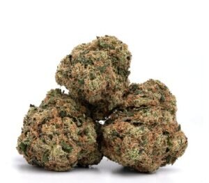 Girl Scout Cookies Strain