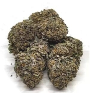 Blue Cheese Strain DE