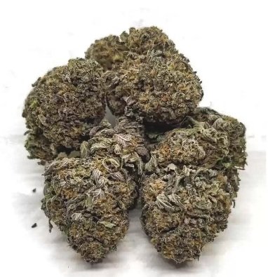 Blue Cheese Strain DE