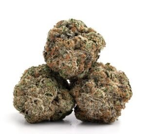 Bubblegum Gelato Strain