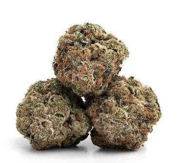 Bubblegum Gelato Strain