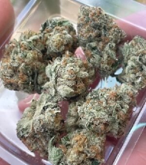 Berry Zkittlez Strain DE