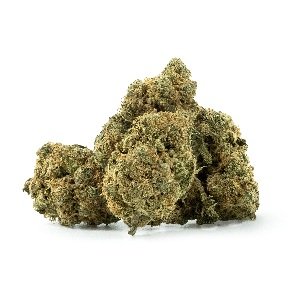 French Wedding Cake Strain Germany