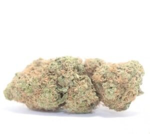 Zelato weed strain DE