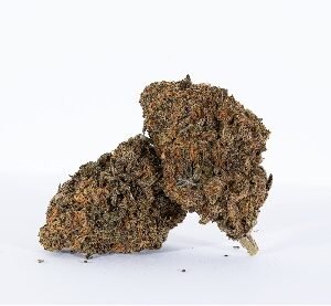 Grape Sorbet Marijuana