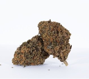 Grape Sorbet Marijuana