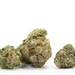 Critical Kush Strain