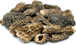 MOREL DRIED MUSHROOM DE