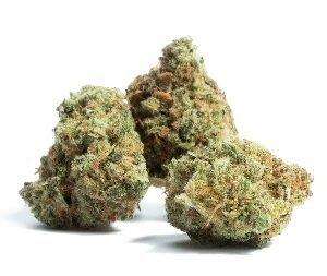 Black Cherry Gelato Marijuana Germany