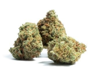 Black Cherry Gelato Marijuana Germany.jpg Black Cherry Gelato Marijuana Germany