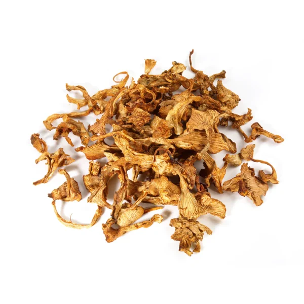 CHANTERELLE DRIED MUSHROOM Germany