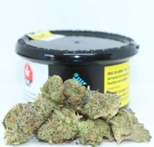 Gelato Mintz Cannabis DE