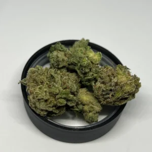 Glue Gelato Marijuana 