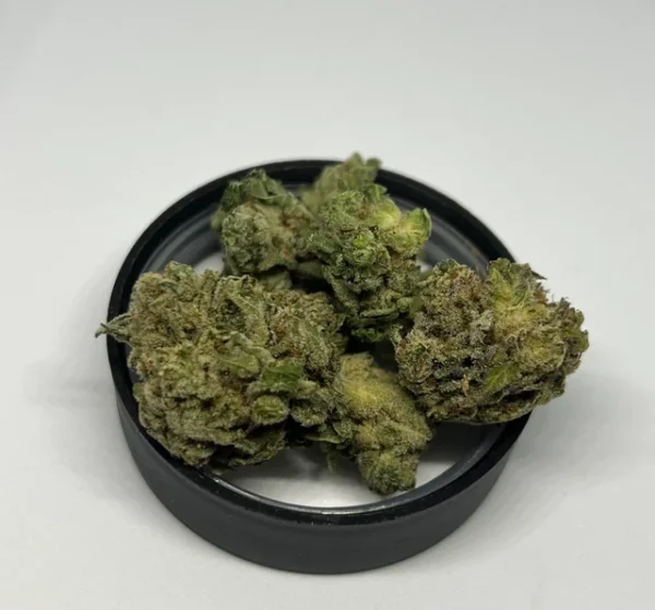 Glue Gelato Marijuana 