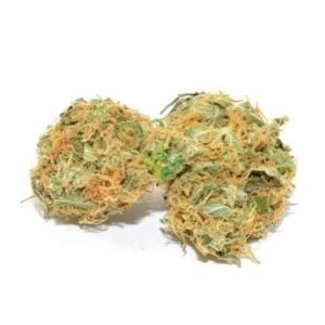 Jack Herer Strain