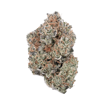 Crunch Berries Marijuana