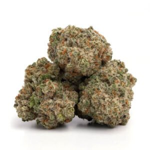 Jack Herer Cannabis