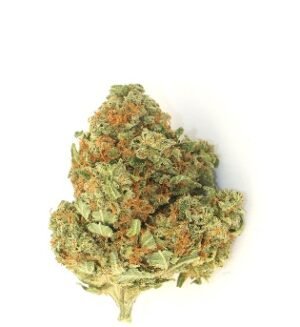 Watermelon Z Weed DE