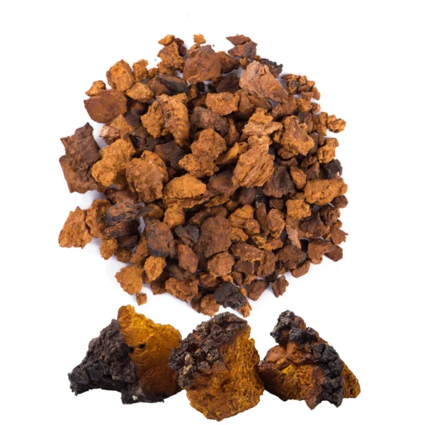 CHAGA DRIED MUSHROOM Deutschland