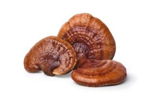 REISHI DRIED MUSHROOMS