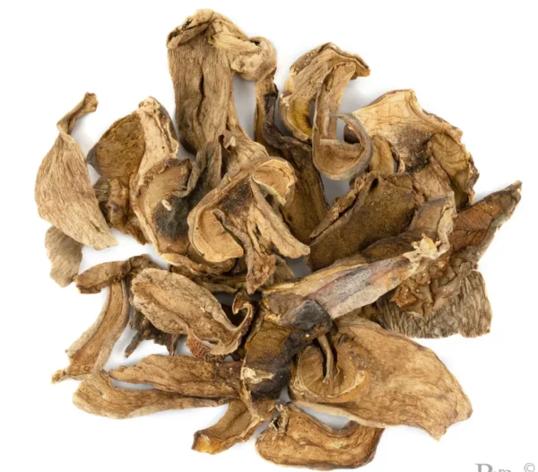  PORCINI DRIED MUSHROOM